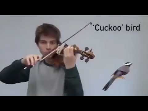 This is the best animal musical instrument #very fast