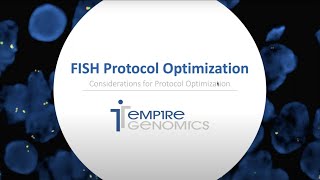FISH Probe Optimization