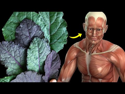 What Happens To Your Body When You Eat Kale Everyday
