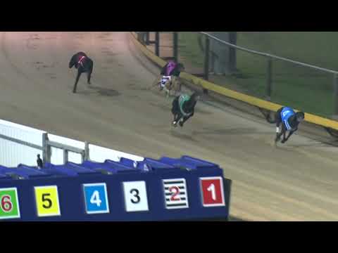 Gawler-17072022-Race-10