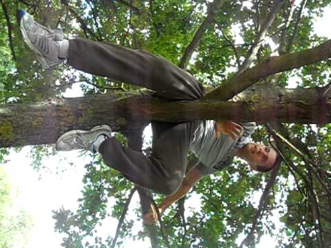 comment monter dans un arbre pour elaguer