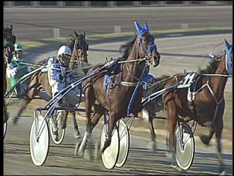 Trotto 16/12/2016 - 1ª corsa