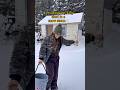 Checking My Kitty Shed In A Snow Storm Farmlife Cats Barncats