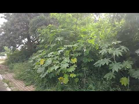 Lago de Mineiros-Goiás.