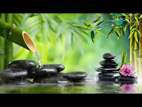 Música relaxante com o som da natureza fonte de água de bambú