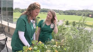 Tomah Health is Now Hiring Passionate Professionals