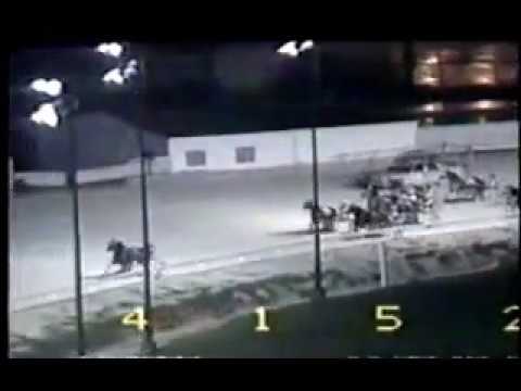 1990 Maywood Park JAKE AND ELWOOD Windy City Pace