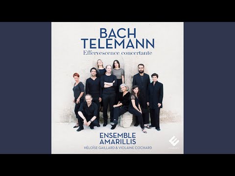 Concerto for Recorder, Flute, Strings and Continuo in E Minor, TWV 52:e1: IV. Presto