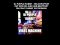 DJ Purple Rabbit - Velociraptor - electro house out ...