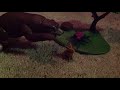 Bear Sound Effects