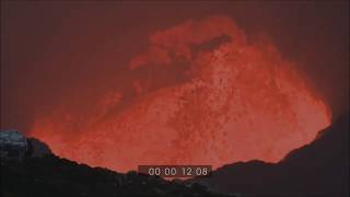 THE EARTH BELOW - Boy Child (Scott Walker) [Video]