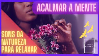  MSICA RELAXANTE - ACALMAR A MENTE COM SOM DE PSSAROS 