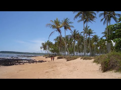 ARACRUZ / ESPÍRITO SANTO - Com praias sombreadas pelas árvores de restingas