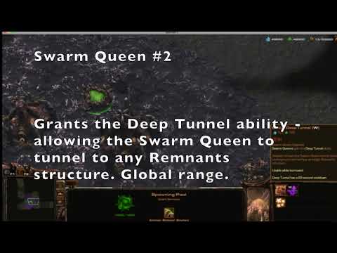 A War Story: Faction Showcase - Swarm Remnants 01