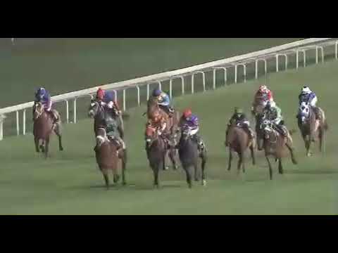 2018 Victory Moon - TAKINGTHEPEACE