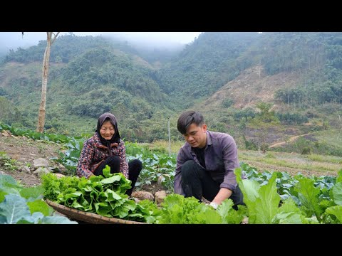 A sick elderly woman chooses to spend the rest of her life with a Young chef