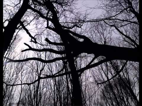 Akroterion: Commander Of Wild Spirits (teaser 2016).