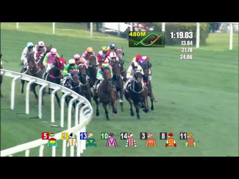 The Magic Man's Day Joao Moreira Wins 8/8 Race at Hong Kong Racecourse