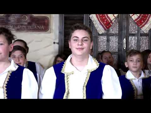 Ansamblul Pastratorii Traditiei Pecica - Junior  Dans de Sicula