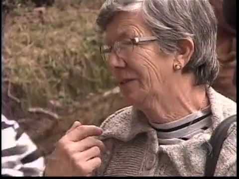 Chamada "Meu Paraná" - Santa do Paredão em Jaguariaíva-PR 