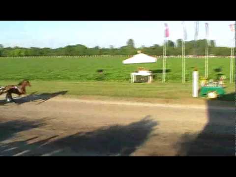 Do 3000 bodovaSrbobran