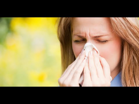 Wirksame Maßnahmen zur Beseitigung von Hausstaubmilben und zur Reduzierung von Allergien und Asthma