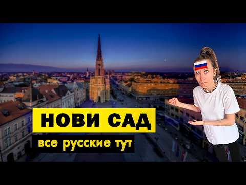 Почему Нови Сад - любимый город русских в Сербии?