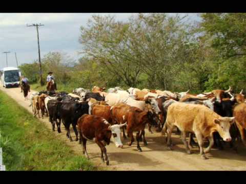 Lida Campeira - Baitaca