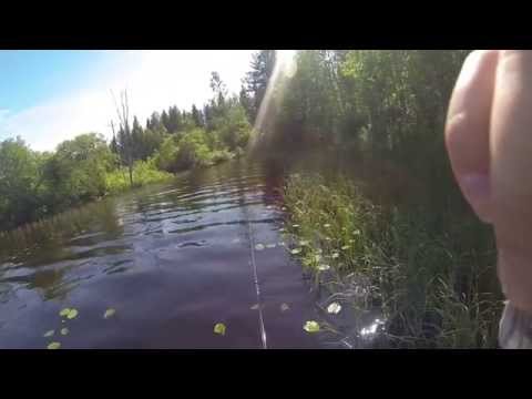 Kävin heittelemässä