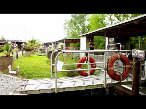 Gray Line New Orleans - Swamp & Bayou Tour