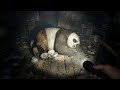 Kung Fu Panda Characters In Real Life Found Footage