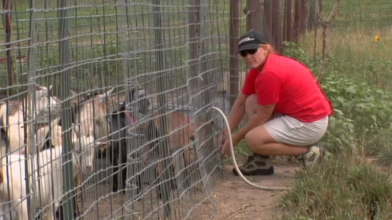 What's the Matter with Kansas? (Official Trailer #2)