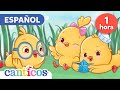 Los Pollitos Dicen Pio Pio + Mas Canciones Infantiles y Bilingual Nursery Rhymes | @canticosworld