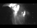 Whilk and Misky - Wing Clipper 