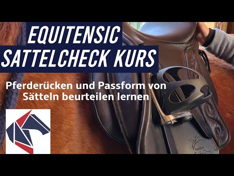 Sattelcheck Kurs - Sattelpassform & Pferderücken beurteilen - EquiTensic Akademie