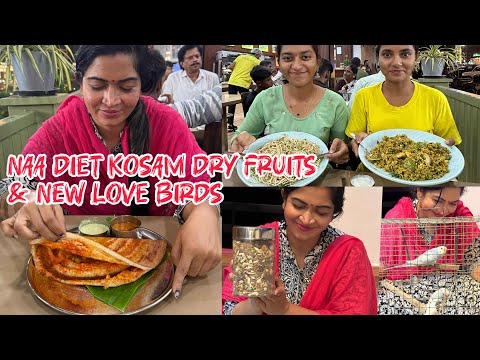 Naa diet kosam dry fruits & new love birds 🕊️ + noodles & biryani day vlog 😋 | Cherry Sathakshi 2