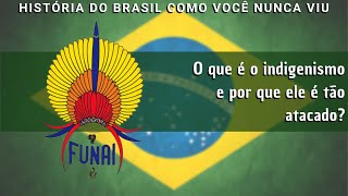 O que é o indigenismo e por que ele é tão atacado?