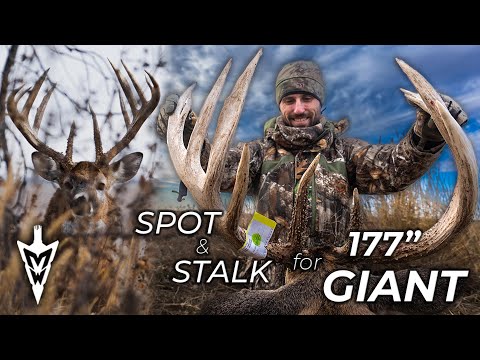 177" Giant Buck At 10 Yards On The Ground, One In A Million Deer Hunting Story #hunting #deerhunting