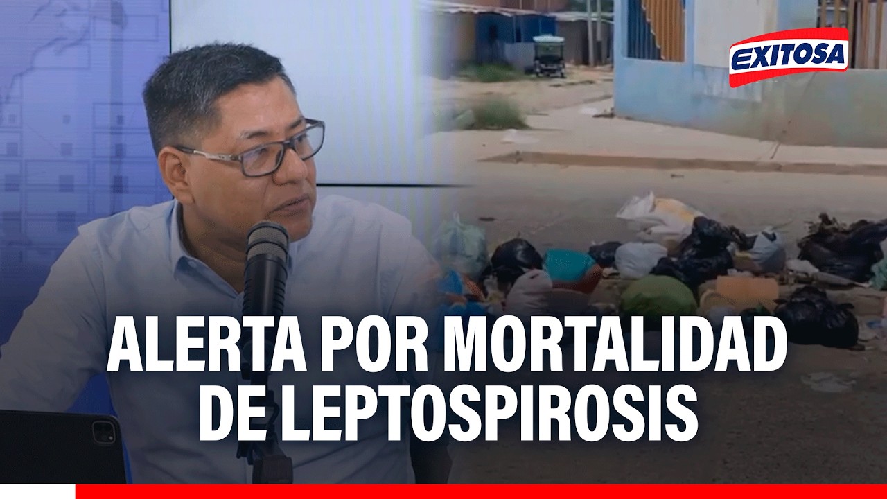 🔴🔵 Alerta por LEPTOSPIROSIS en regiones del Perú: "Se ha incrementado la mortalidad"