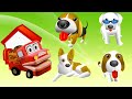Razas De Perros Perritos Para Niños Canciones Infantiles Barney El Camiön