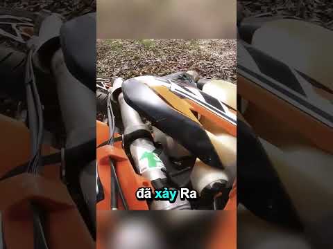 Biker đâm xe xuyên qua cửa sổ!#shorts