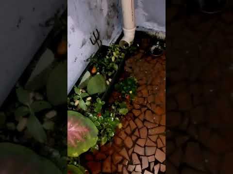 Como Consagrar e Firmar uma Guia de Proteção de Forma Simples