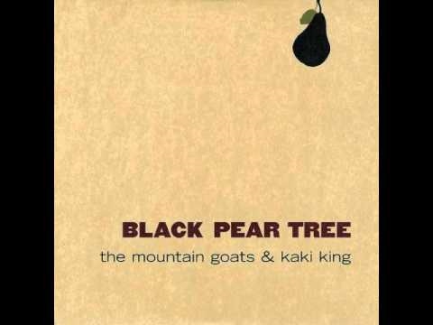 The Mountain Goats & Kaki King - Mosquito Repellent
