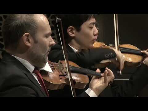 Elbphilharmonie: Bach Doppelkonzert BWV 1043 - Gustav Frielinghaus | Leonard Fu | Hamburger Camerata