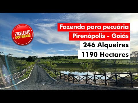 FAZENDA DOS SONHOS com 246 Alqueires em Pirenópolis - Goiás