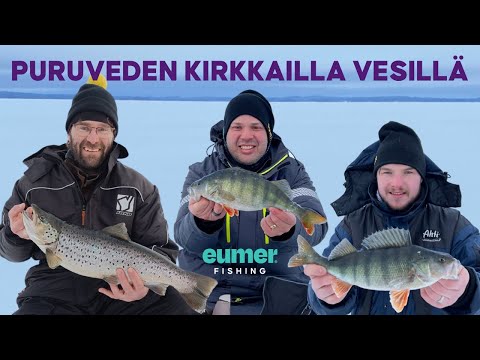 Älytön taimen ja isoja ahvenia - Pilkkireissu Puruvedelle - Ahvenen pilkintä - @EumerFishing