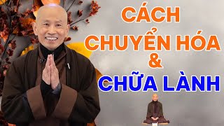 CÁCH CHUYỂN HÓA VÀ CHỮA LÀNH NỘI TÂM | HÒA THƯỢNG THÍCH PHƯỚC TỊNH