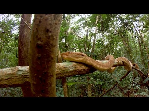 Catch Up on Season 1 of Treasure Quest