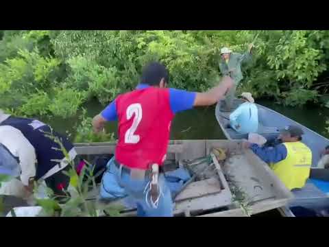 Intensifican búsqueda del joven pescador que desapareció en una laguna de exaltación - Beni.