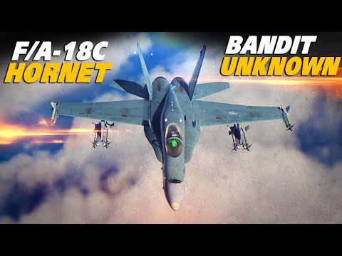 F/A-18C Hornet Dogfight | Bandit Unknown | Digital Combat Simulator | DCS |